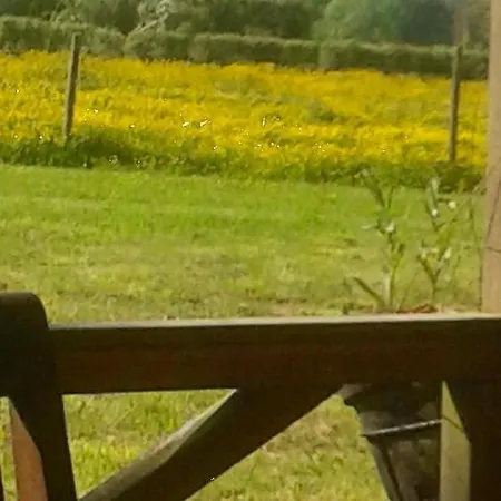 Duccio Hebergements Insolites Chalet