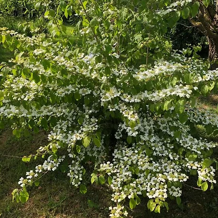 Duccio Hebergements Insolites Chalet Potelle