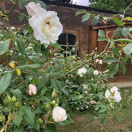 Chalet Duccio Hebergements Insolites