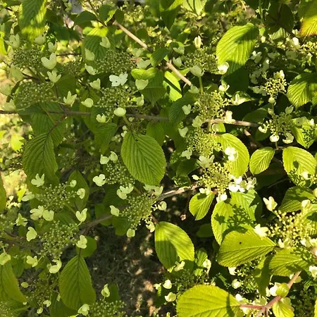 Duccio Hebergements Insolites * Potelle