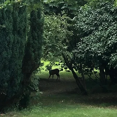 Chalet Duccio Hebergements Insolites Potelle