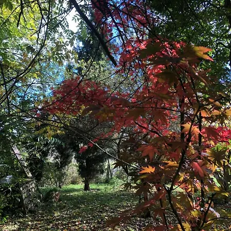 Duccio Hebergements Insolites Chalet *