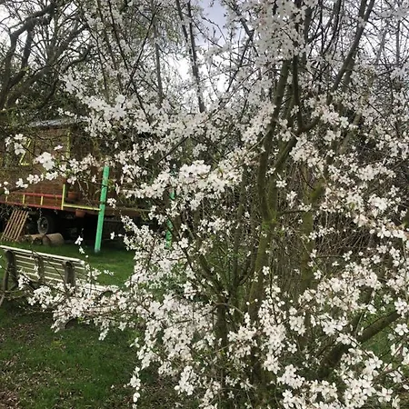 Duccio Hebergements Insolites