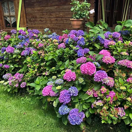 Duccio Hebergements Insolites