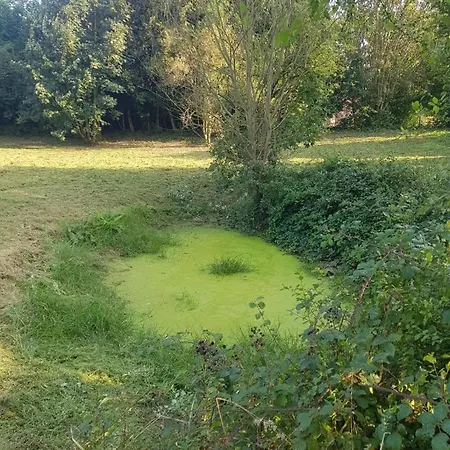 Chalet Duccio Hebergements Insolites