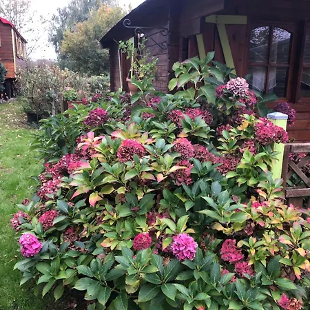 Duccio Hebergements Insolites Chalet Potelle