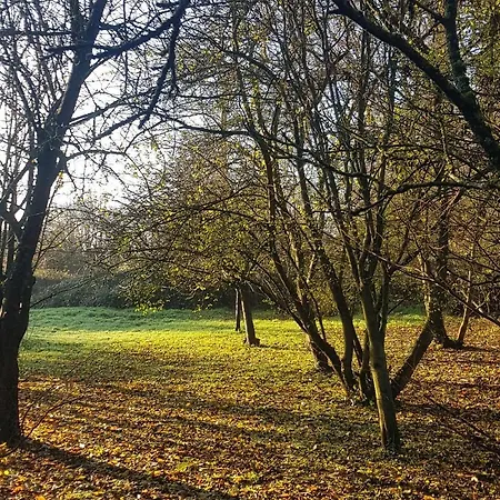 Duccio Hebergements Insolites Chalet