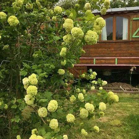 Duccio Hebergements Insolites *